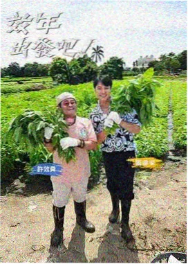 三世情缘 言情小说推荐